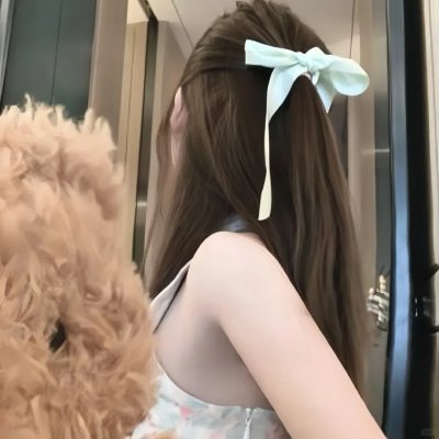 爱国者行动